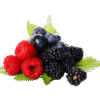 berries