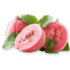 guava